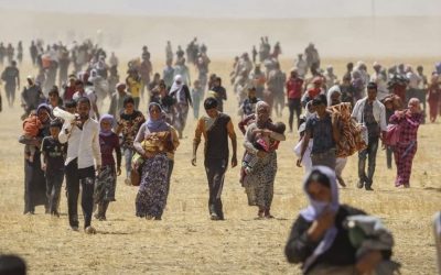 NGOs accuse Irak saying that “Êzîdî culture is under threat of extinction and erasure from history”