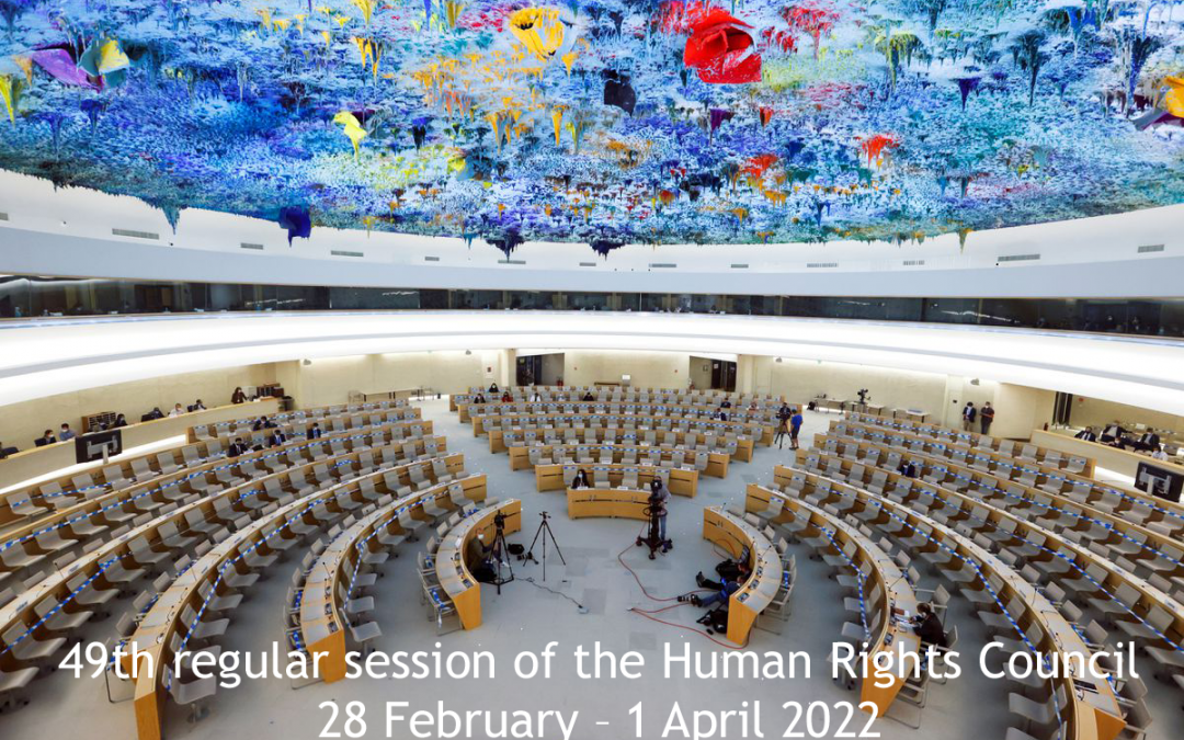 HRC 49 : Freedom of expression and the media muzzled in Ukraine: the case of Anatolij Sharij