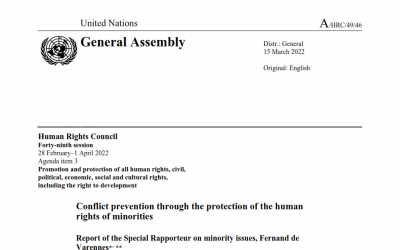 Conflict prevention through the protection of the human rights of minorities