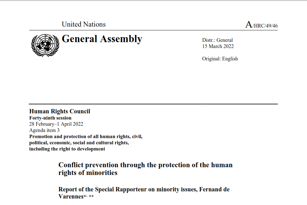 Conflict prevention through the protection of the human rights of minorities