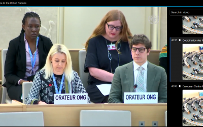 52 session United Nations Human Rights Council : Oral statement about the migration crisis in Sudan