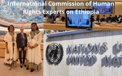 Item 4: Interactive dialogue with the International Commission of Human Rights Experts on Ethiopia