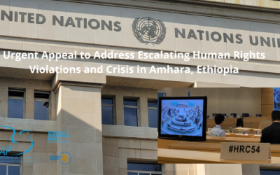 HRC 54 written statement : Urgent Appeal to Address Escalating Human Rights Violations and Crisis in Amhara, Ethiopia