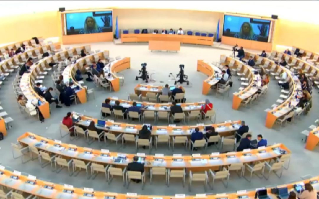 HRC 55 Oral Statement Item 3 Attention Required: Drone Attacks on Amhara and Escalating Humanitarian Crisis
