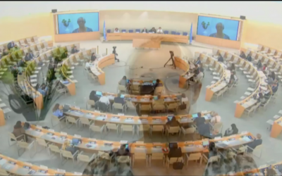 57th Session of the Human Rights Council Arbitrary Detention UAE