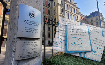 Submission to UN Special Rapporteur Details Systemic Discrimination in German Public Procurement