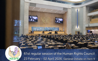 HRC 61 Item 9 UN Statement: Demand Release of Imran Khan and End Systematic Persecution in Pakistan